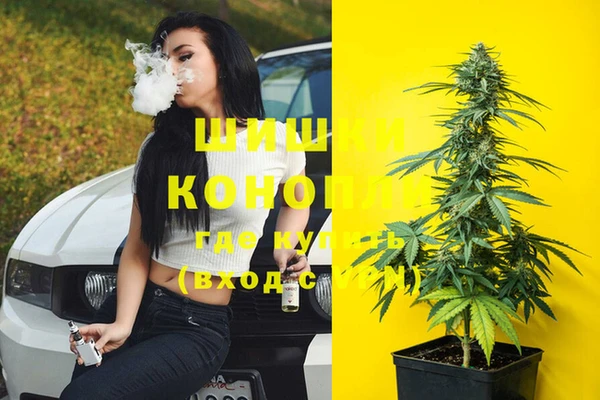 эйфоретик Беломорск