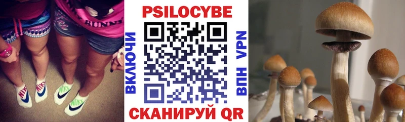 дарнет шоп  Гулькевичи  Галлюциногенные грибы MAGIC MUSHROOMS 