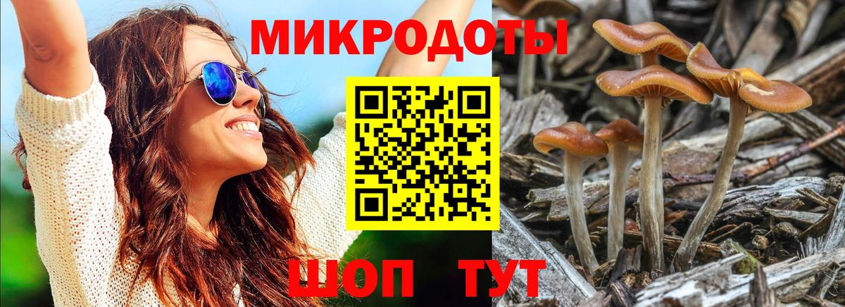 Галлюциногенные грибы мицелий Гулькевичи