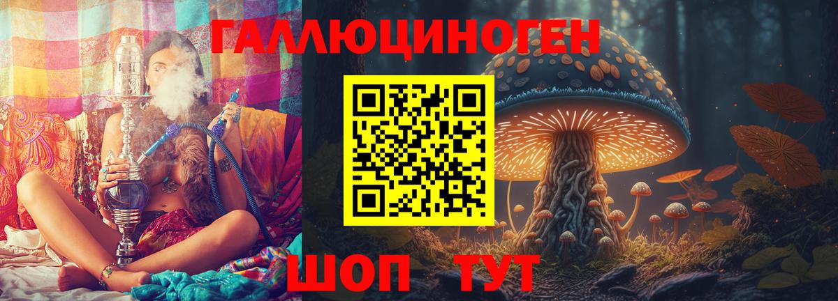 Гулькевичи  наркота  Псилоцибиновые грибы мицелий  Вход с VPN  Псилоцибиновые грибы Cubensis 